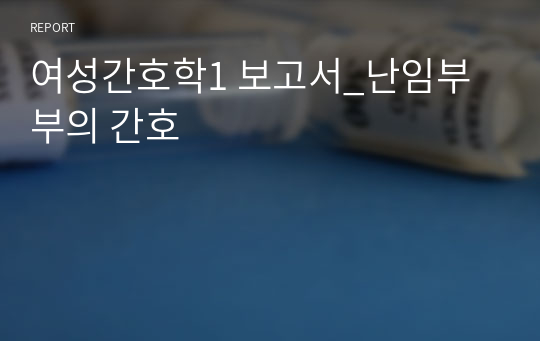 여성간호학1 보고서_난임부부의 간호