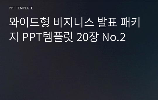 와이드형 비지니스 발표 패키지 PPT템플릿 20장 No.2