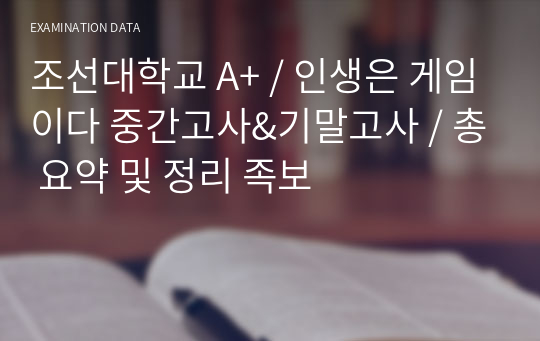 조선대학교 A+ / 인생은 게임이다 중간고사&amp;기말고사 / 총 요약 및 정리 족보