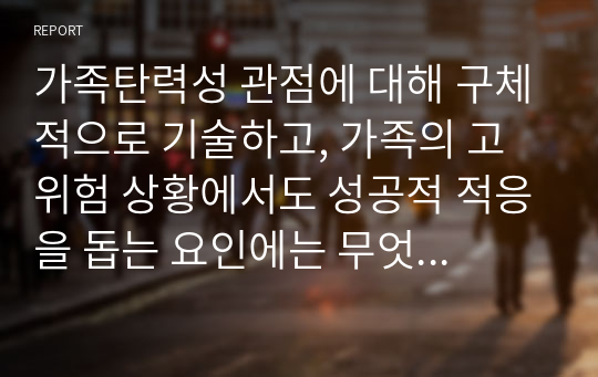 가족탄력성 관점에 대해 구체적으로 기술하고, 가족의 고위험 상황에서도 성공적 적응을 돕는 요인에는 무엇이 있다고 생각하는지 기술하세요. 또한, 가족탄력성 관점과 성공적 적응을 돕는 요인에 대한 느낀점을 기술하세요 (가족복지론)