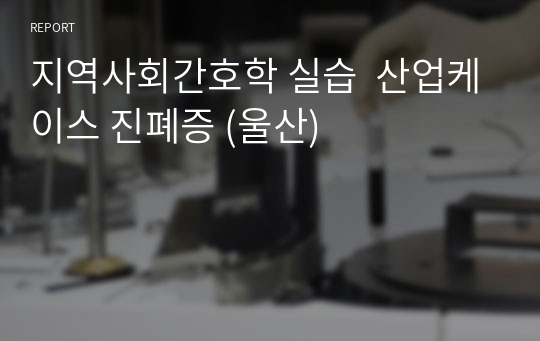 지역사회간호학 실습  산업케이스 진폐증 (울산)