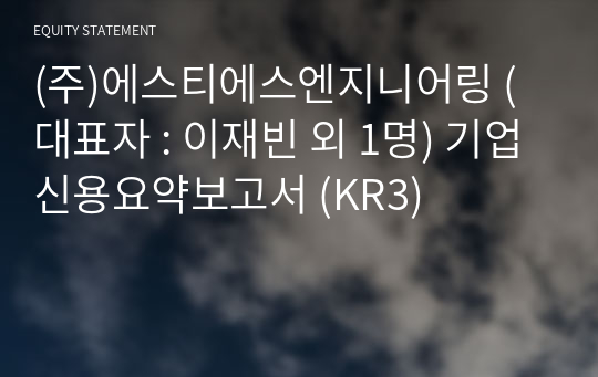 (주)에스티에스엔지니어링 기업신용요약보고서 (KR3)