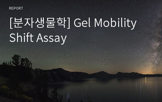 [분자생물학] Gel Mobility Shift Assay