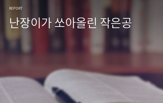 난장이가 쏘아올린 작은공