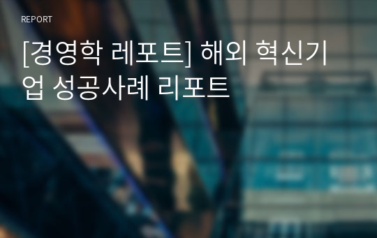 [경영학 레포트] 해외 혁신기업 성공사례 리포트