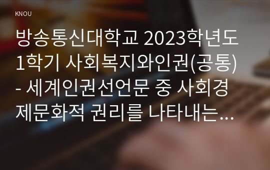 방송통신대학교 2023학년도1학기 사회복지와인권(공통) - 세계인권선언문 중 사회경제문화적 권리를 나타내는 조항을 쓰고 각 조항에 대해 사례를 기반으로 설명하시오. 2