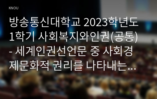 방송통신대학교 2023학년도1학기 사회복지와인권(공통) - 세계인권선언문 중 사회경제문화적 권리를 나타내는 조항을 쓰고 각 조항에 대해 사례를 기반으로 설명하시오.