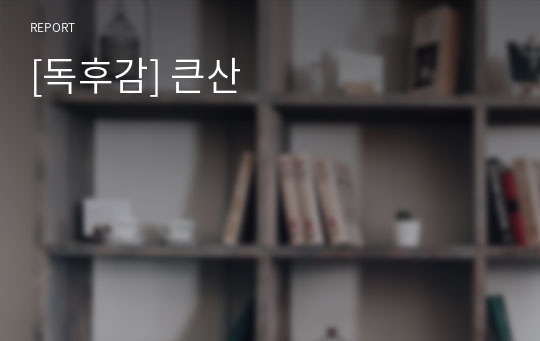 [독후감] 큰산