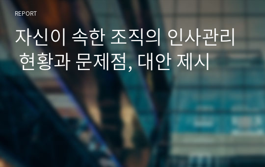 자신이 속한 조직의 인사관리 현황과 문제점, 대안 제시