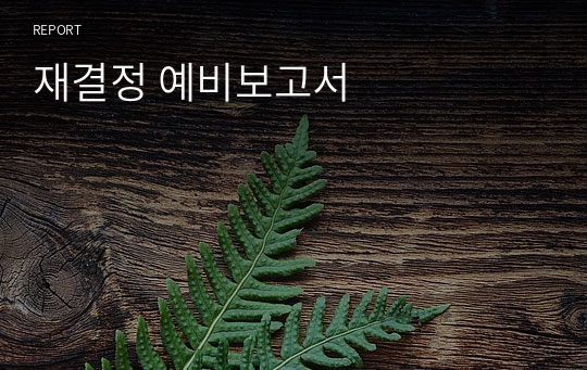 재결정 예비보고서