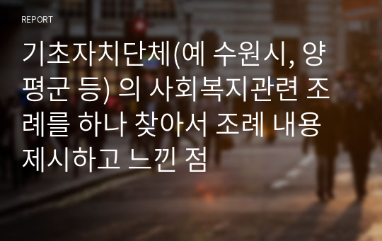 기초자치단체(예 수원시, 양평군 등) 의 사회복지관련 조례를 하나 찾아서 조례 내용 제시하고 느낀 점