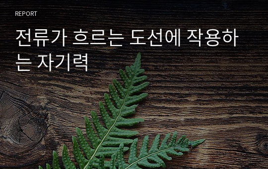 전류가 흐르는 도선에 작용하는 자기력