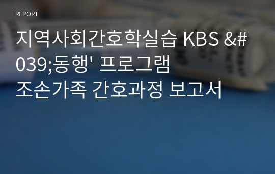 지역사회간호학실습 KBS &#039;동행&#039; 프로그램 조손가족 간호과정 보고서