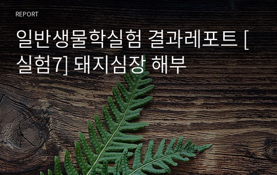 일반생물학실험 결과레포트 [실험7] 돼지심장 해부