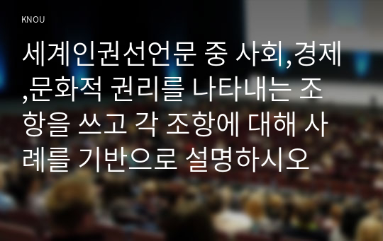 세계인권선언문 중 사회,경제,문화적 권리를 나타내는 조항을 쓰고 각 조항에 대해 사례를 기반으로 설명하시오