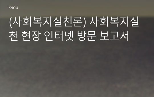 (사회복지실천론) 사회복지실천 현장 인터넷 방문 보고서