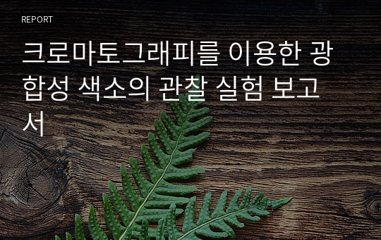 크로마토그래피를 이용한 광합성 색소의 관찰 실험 보고서