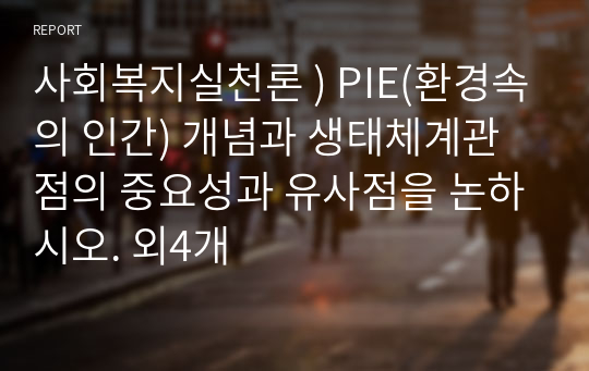 사회복지실천론 ) PIE(환경속의 인간) 개념과 생태체계관점의 중요성과 유사점을 논하시오. 외4개