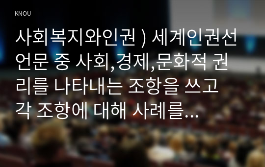 사회복지와인권 ) 세계인권선언문 사회경제,문화적 권리 나타내는 조항을 쓰고 조항에 대해 사례를 기반으로 설명하시오.