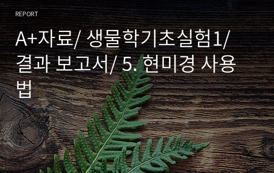 A+자료/ 생물학기초실험1/ 결과 보고서/ 5. 현미경 사용법