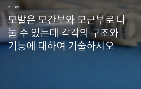 모발은 모간부와 모근부로 나눌 수 있는데 각각의 구조와 기능에 대하여 기술하시오