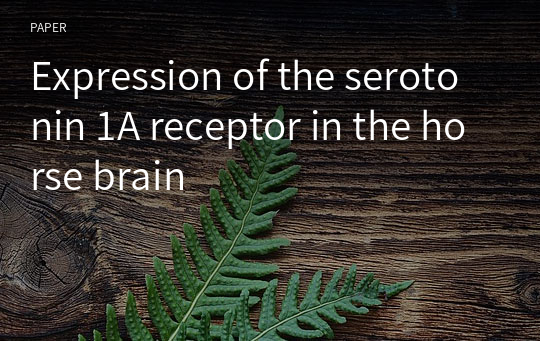 Expression of the serotonin 1A receptor in the horse brain