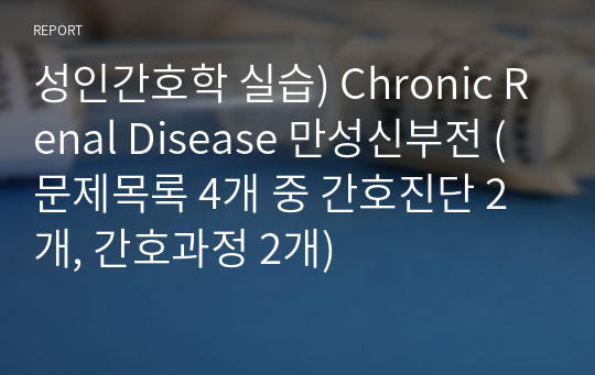 성인간호학 실습) Chronic Renal Disease 만성신부전 (문제목록 4개 중 간호진단 2개, 간호과정 2개)