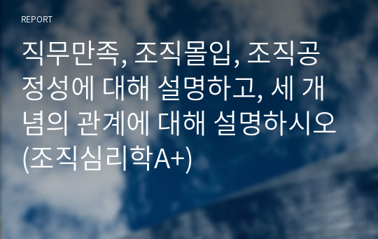 직무만족, 조직몰입, 조직공정성에 대해 설명하고, 세 개념의 관계에 대해 설명하시오(조직심리학A+)