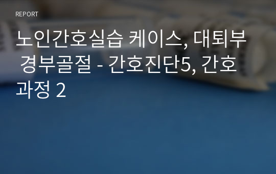 노인간호실습 케이스, 대퇴부 경부골절 - 간호진단5, 간호과정 2