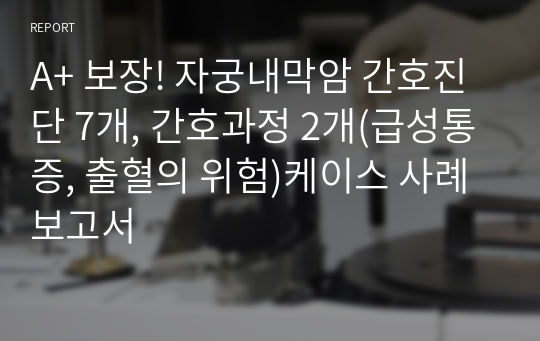 A+ 보장! 자궁내막암 간호진단 7개, 간호과정 2개(급성통증, 출혈의 위험)케이스 사례보고서