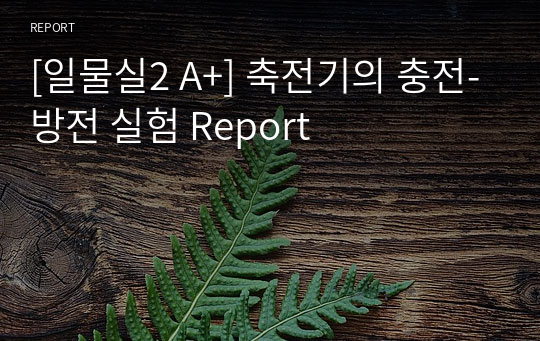 [일물실2 A+] 축전기의 충전-방전 실험 Report