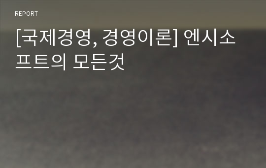 [국제경영, 경영이론] 엔시소프트의 모든것