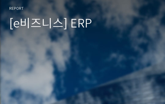 [e비즈니스] ERP