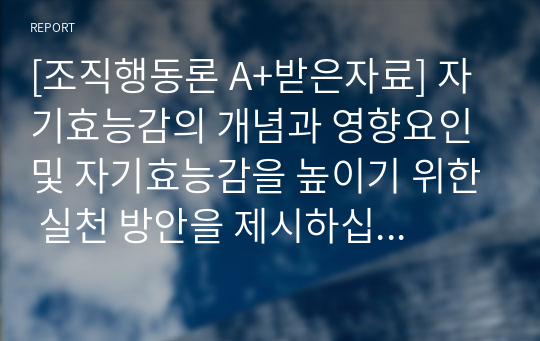 [조직행동론(과제 95점)] 자기효능감의 개념과 영향요인 및 자기효능감을 높이기 위한 실천 방안을 제시하십시오.