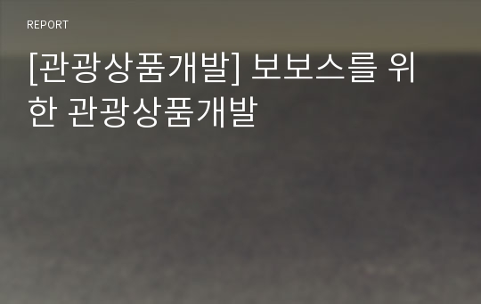 [관광상품개발] 보보스를 위한 관광상품개발