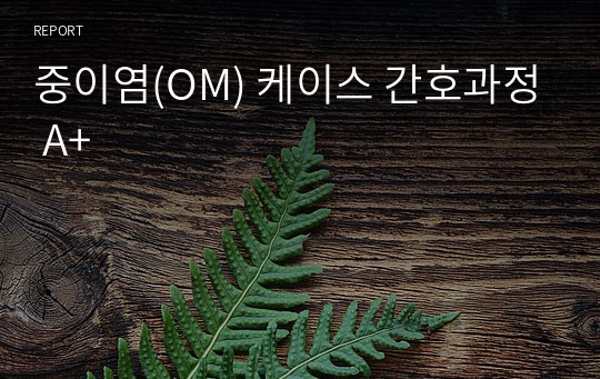 중이염(OM) 케이스 간호과정 A+