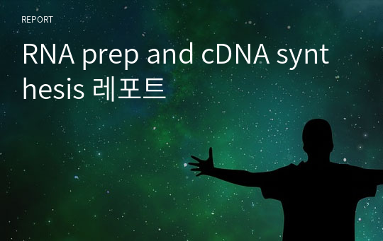RNA prep and cDNA synthesis 레포트
