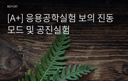 [A+] 응용공학실험 보의 진동모드 및 공진실험