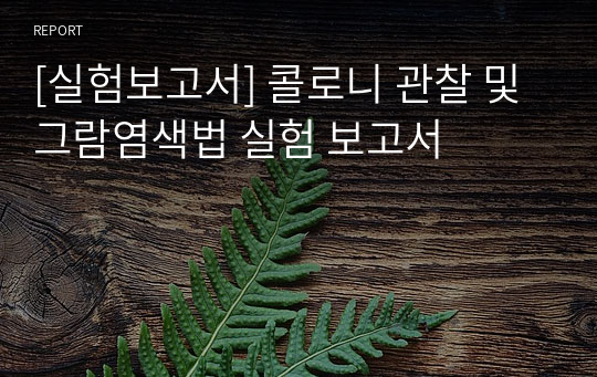 [실험보고서] 콜로니 관찰 및 그람염색법 실험 보고서