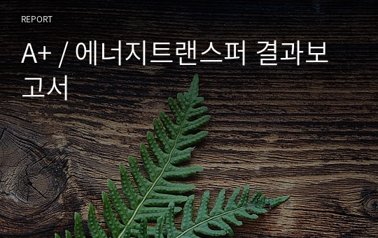 A+ / 에너지트랜스퍼 결과보고서