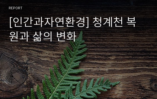 [인간과자연환경] 청계천 복원과 삶의 변화