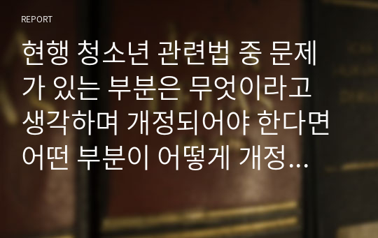 현행 청소년 관련법 중 문제가 있는 부분은 무엇이라고 생각하며 개정되어야 한다면 어떤 부분이 어떻게 개정되어야 하는지 기술하시오.