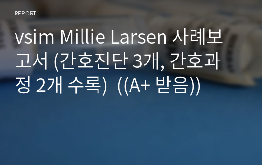 vsim Millie Larsen 사례보고서 (간호진단 3개, 간호과정 2개 수록)  ((A+ 받음))