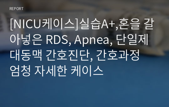 [NICU케이스]실습A+,혼을 갈아넣은 RDS, Apnea, 단일제대동맥 간호진단, 간호과정 엄청 자세한 케이스