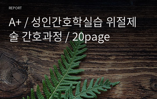 A+ / 성인간호학실습 위절제술 간호과정 / 20page