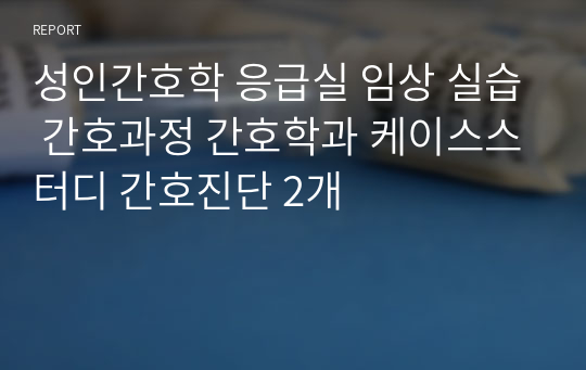 성인간호학 응급실 임상 실습 간호과정 간호학과 케이스스터디 간호진단 2개