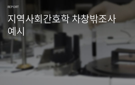 지역사회간호학 차창밖조사 예시