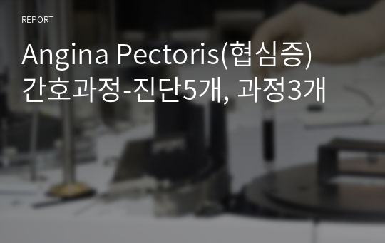 A+ Angina Pectoris(협심증) 간호과정-진단5개, 과정3개