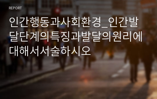 인간행동과사회환경_인간발달단계의특징과발달의원리에대해서서술하시오