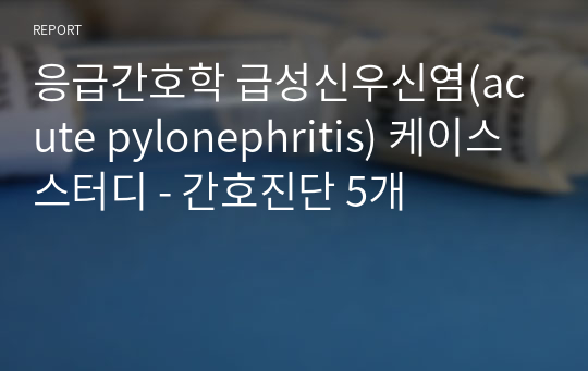 응급간호학 급성신우신염(acute pylonephritis) 케이스스터디 - 간호진단 5개